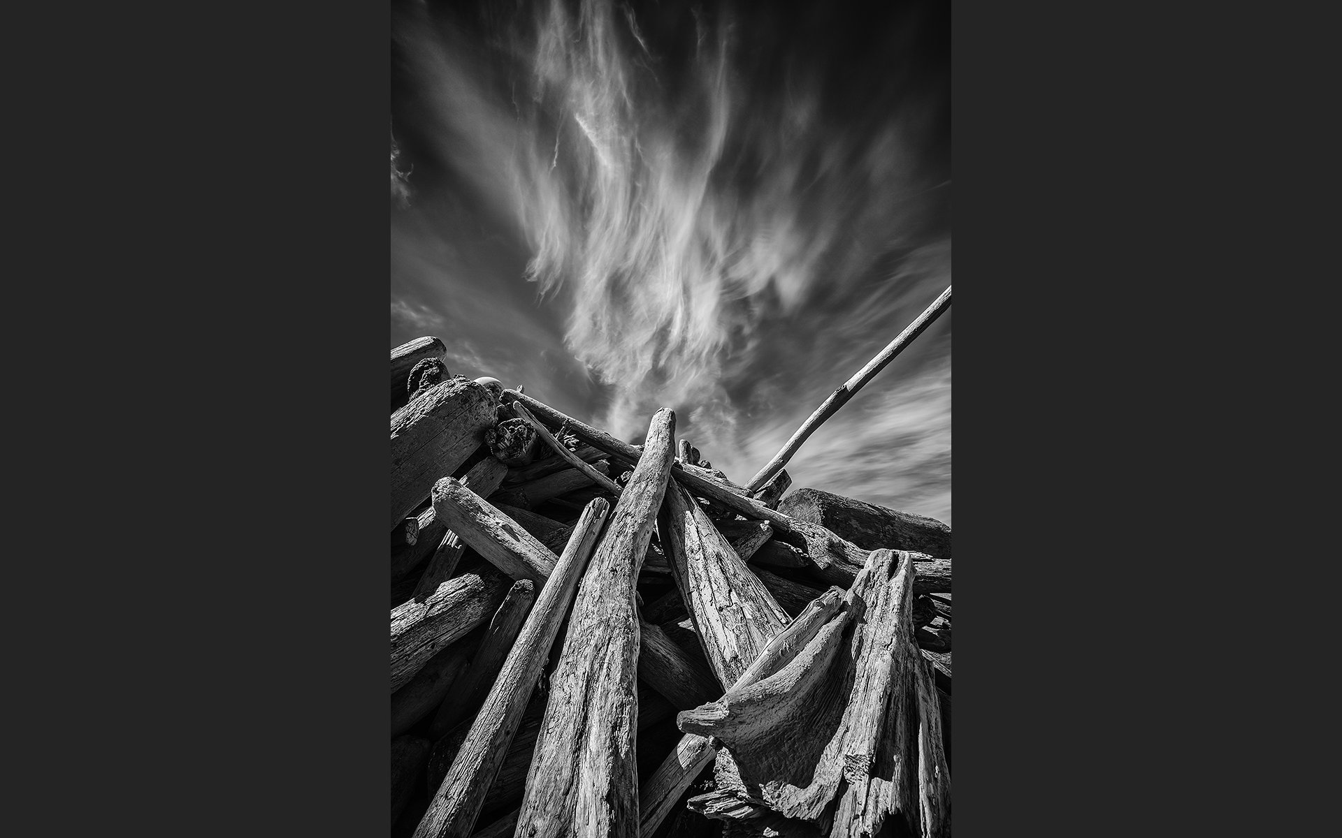 iceland_driftwood_©b-strauss